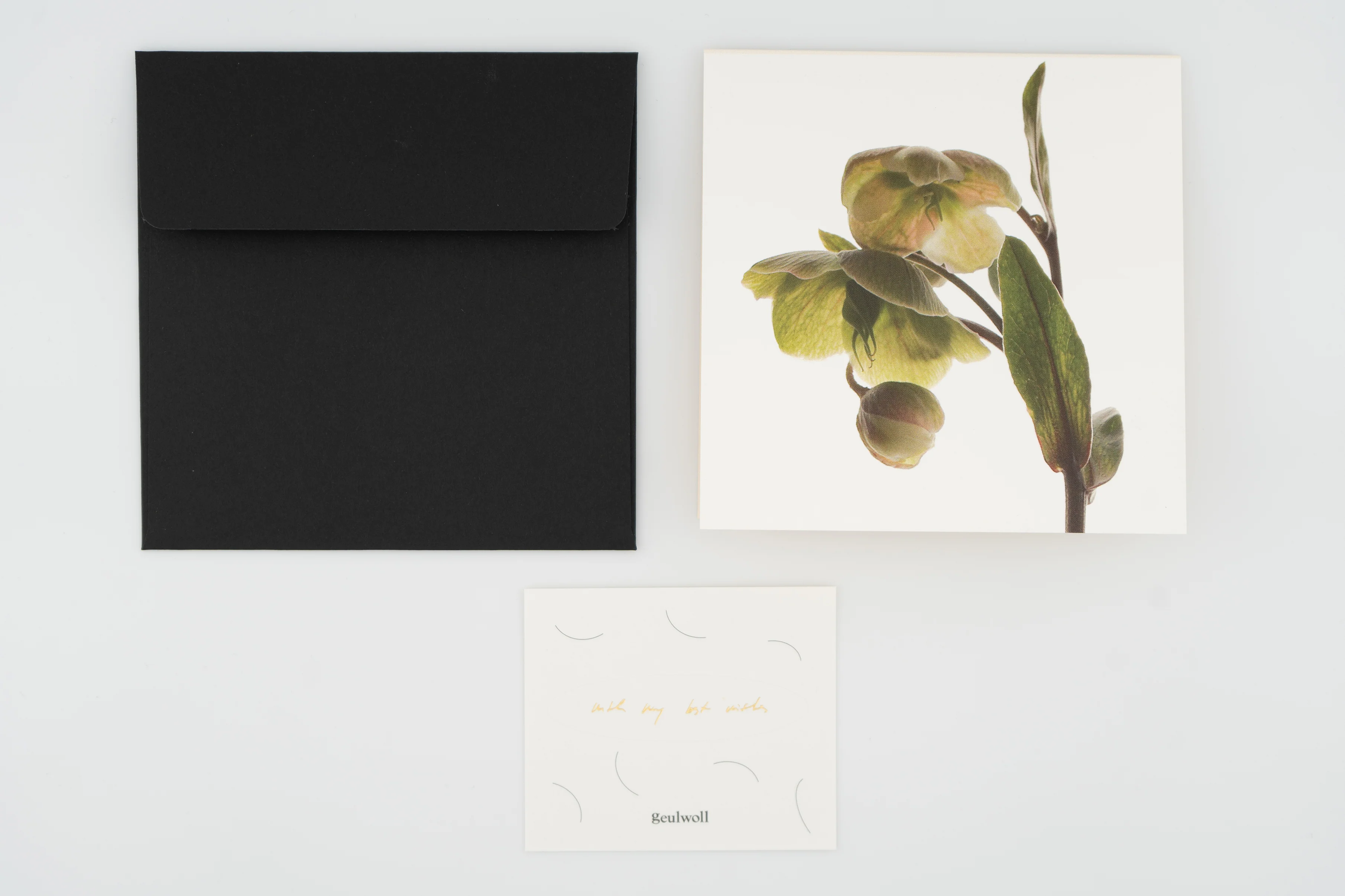 Flower Card I Hellebores - Image 6