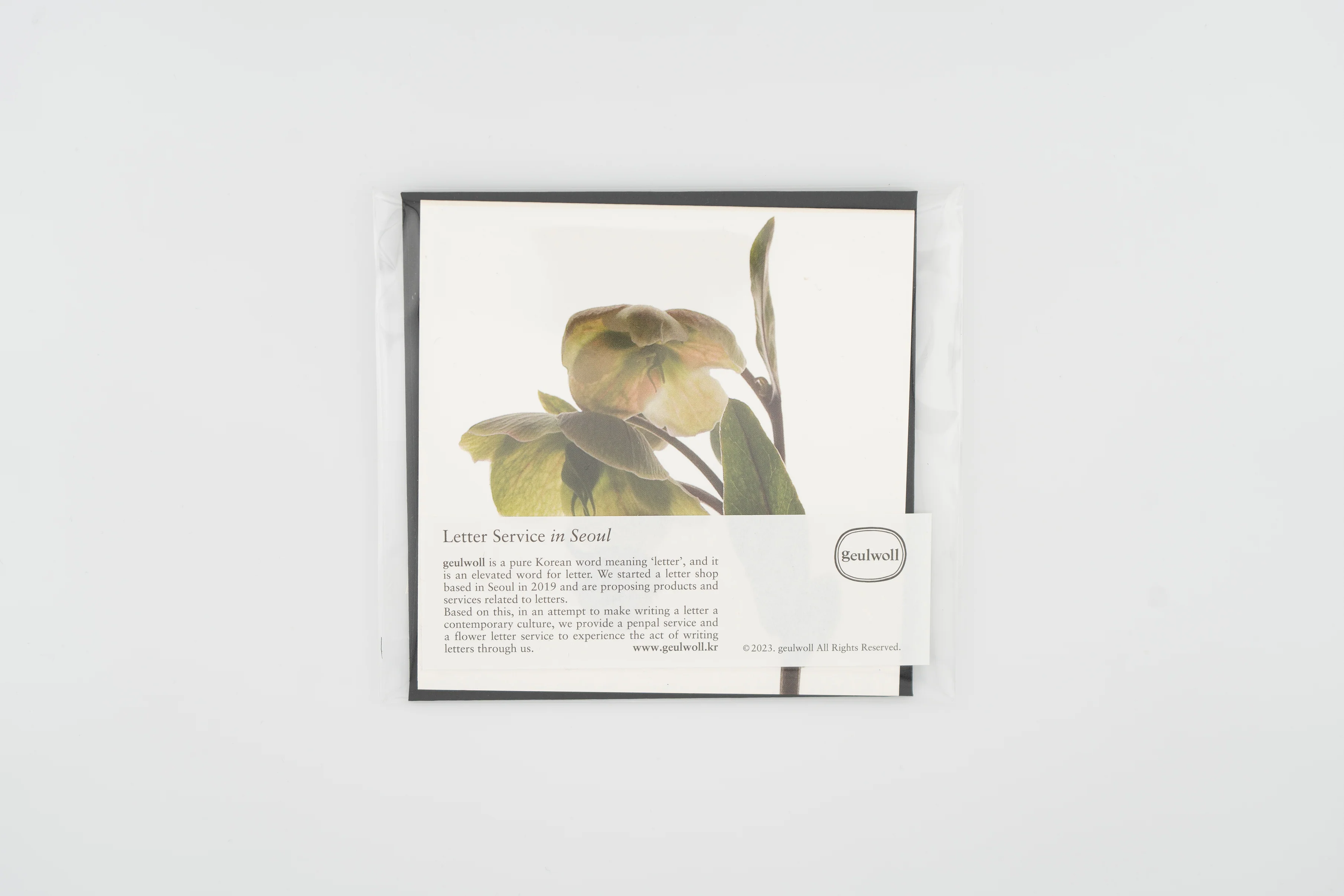 Flower Card I Hellebores - Image 7